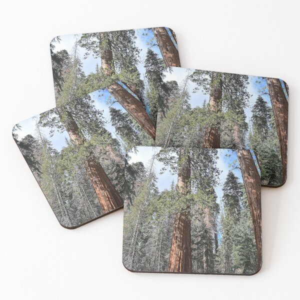 Item preview, California Redwood- Sequoia National Park designed and sold by momentintime97.