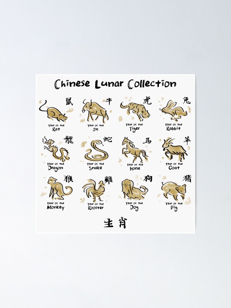 Chinese 12 Lunar Calendar Animals Poster