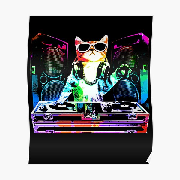 DJ Cat is in the house! : r/Catswithjobs