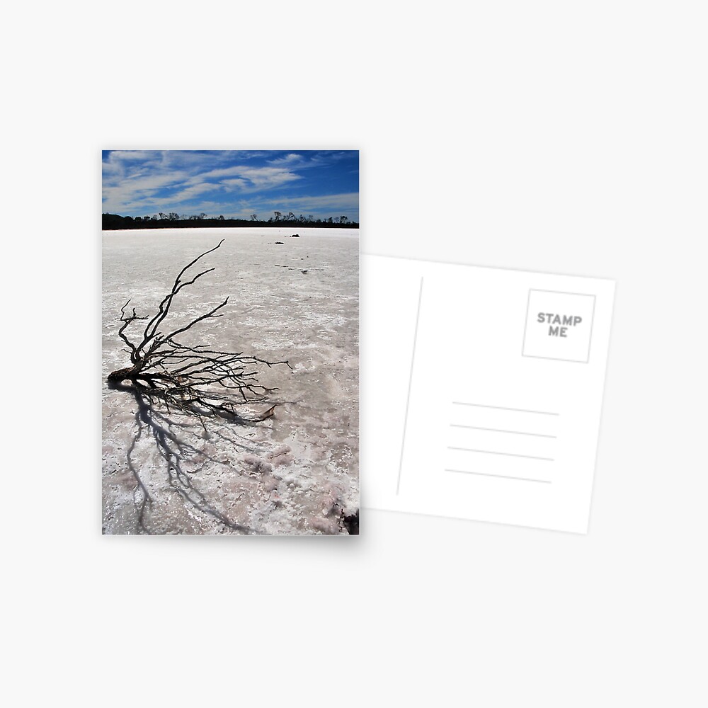 Item preview, Postcard designed and sold by darylbowen.