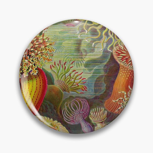 Item preview, Vintage Sealife Underwater designed and sold by livianasgifts.