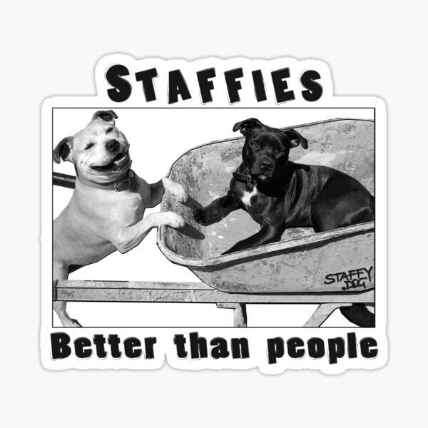 Staffies better than people Sticker