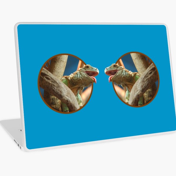 Macbook Air 13" (2015)