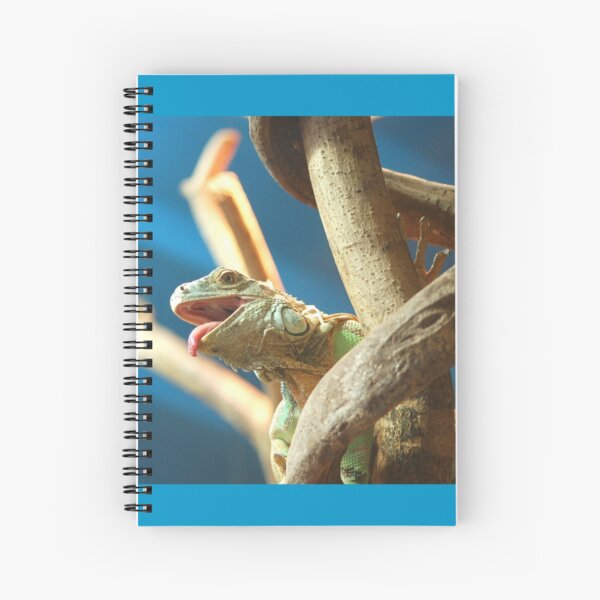 Spiral Notebook