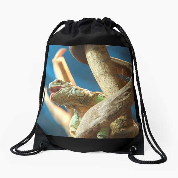 Drawstring Bag