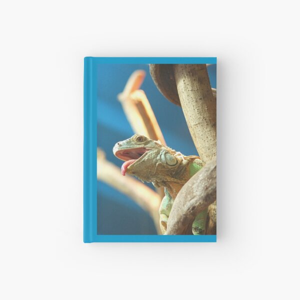 Hardcover Journal