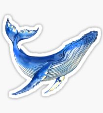 Pegatina Ballena de acuarela