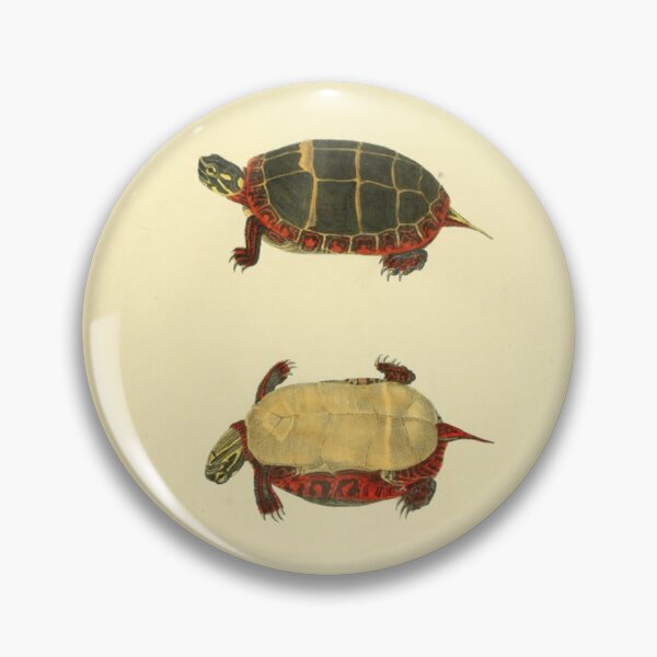 Item preview, Naturalist Turtle designed and sold by BlueSpecsStudio.