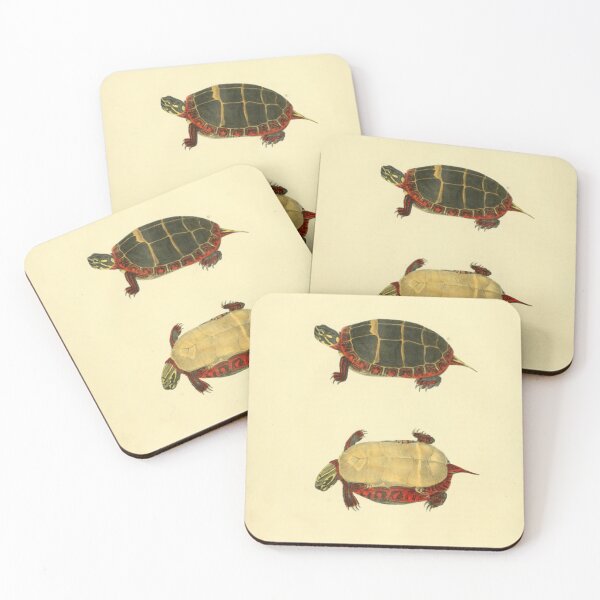 Item preview, Naturalist Turtle designed and sold by BlueSpecsStudio.