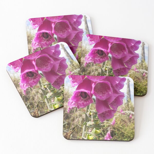 Item preview, Foxglove in summer  designed and sold by PaigePhotos.