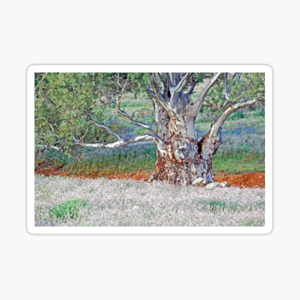 Item preview, Gum amongst the wildflowers, Blinman farmland designed and sold by imaginethis.