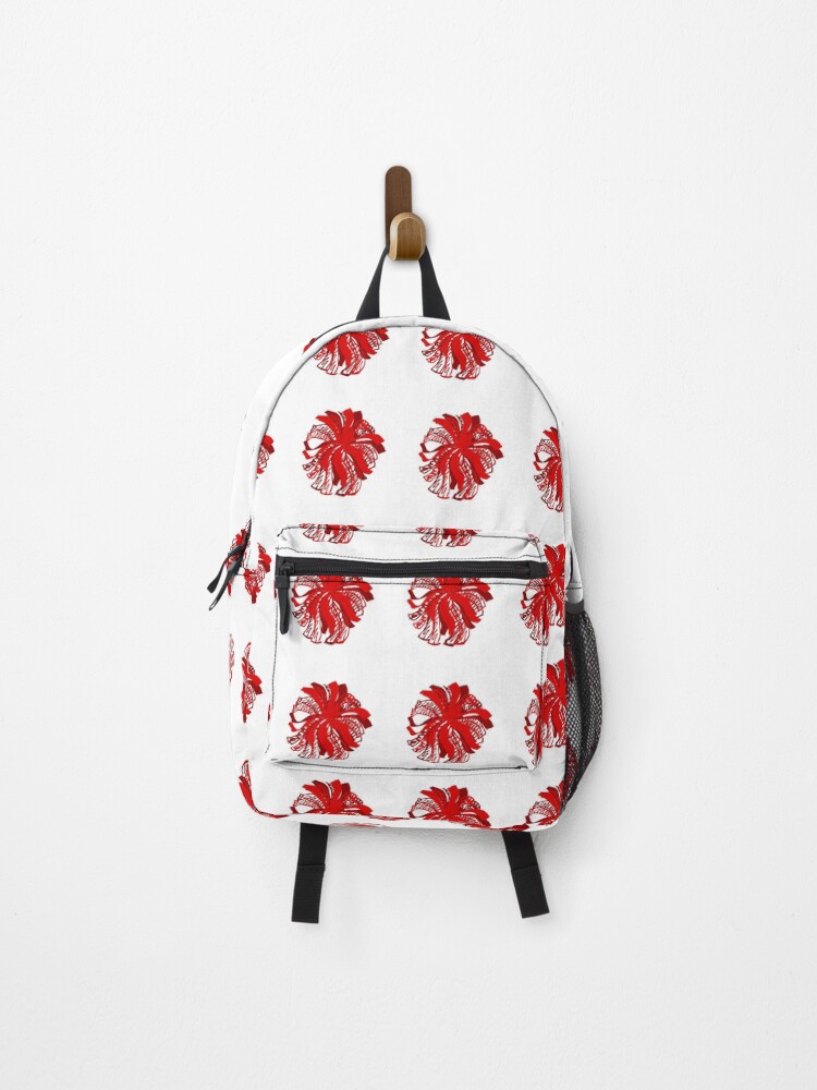 cheerleader backpack