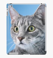 CAT WITH BLUE BACKGROUND iPad Case/Skin