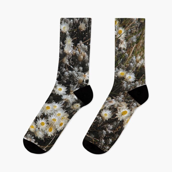 Item preview, African Alpine White Wildflowers Sanetti Plateau Ethiopia designed and sold by worldways.