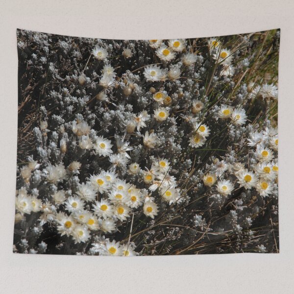 Item preview, African Alpine White Wildflowers Sanetti Plateau Ethiopia designed and sold by worldways.