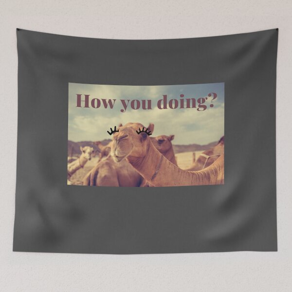 Item preview, Funny and Cute How you doing Camel Photograph designed and sold by carolviola87.