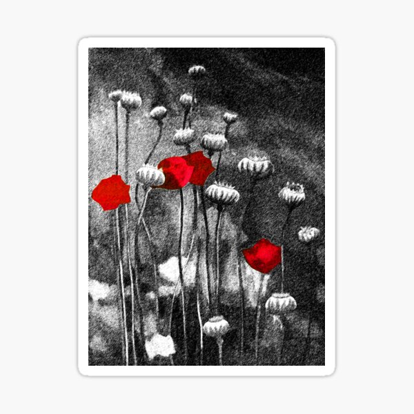 Black, White and Red Poppies Sticker