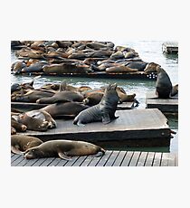 King of the Sea Photographic Print