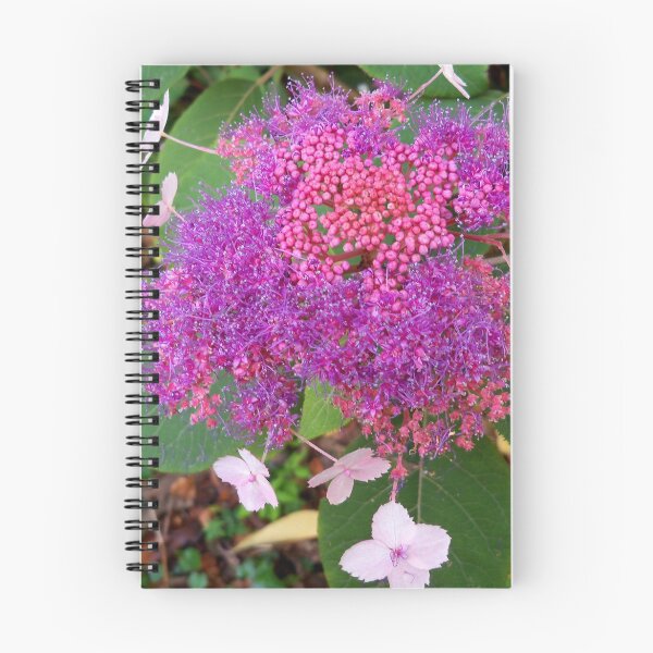 Item preview, Interesting Flora designed and sold by hootonles.