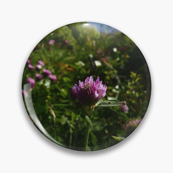 Item preview, Red Clover (Red Clover) designed and sold by IOMWildFlowers.