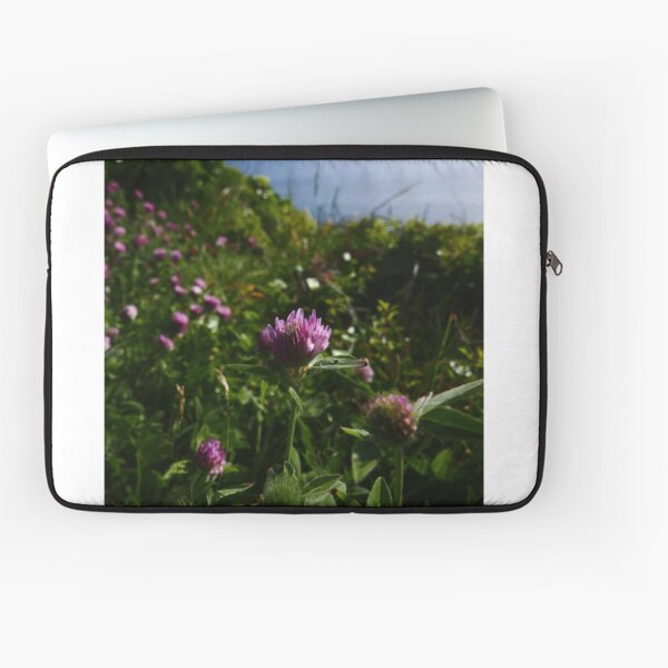 Red Clover (Red Clover) Laptop Sleeve