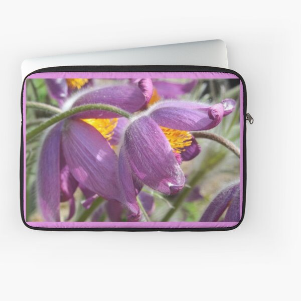 Laptop Sleeve