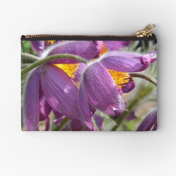 Zipper Pouch