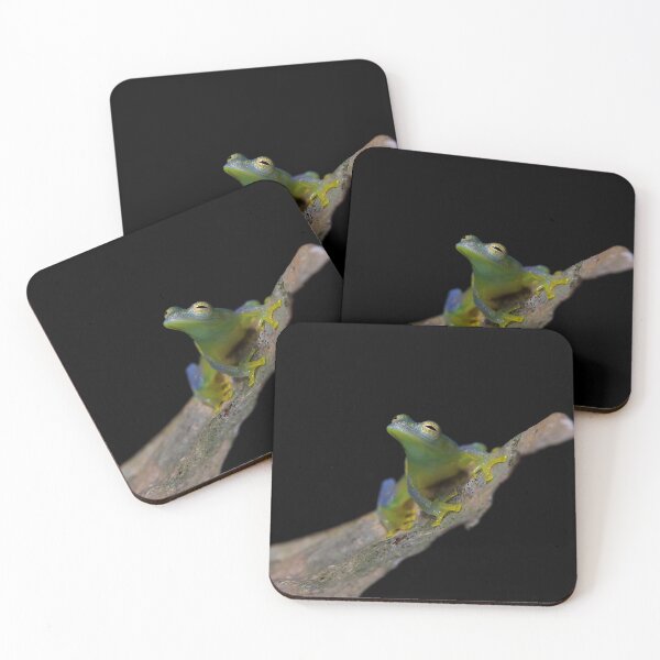 Item preview, Glass Frog designed and sold by mlorenz.