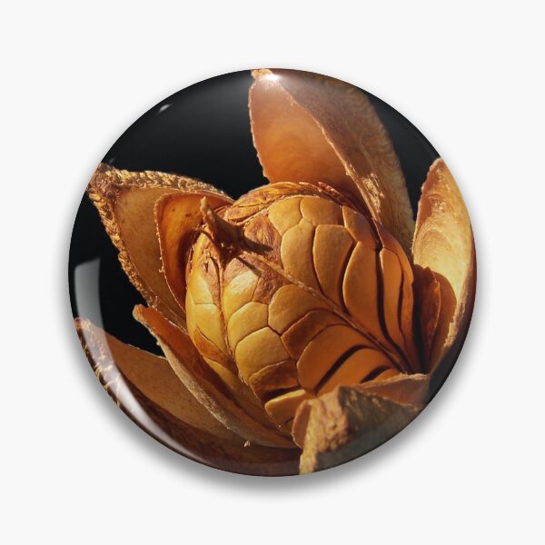 Item preview, Mahogany Seeds DPG150525 designed and sold by CSteenArt.