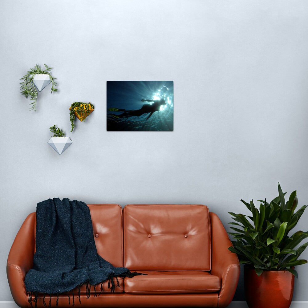 Lola at Hermit I Metal Print