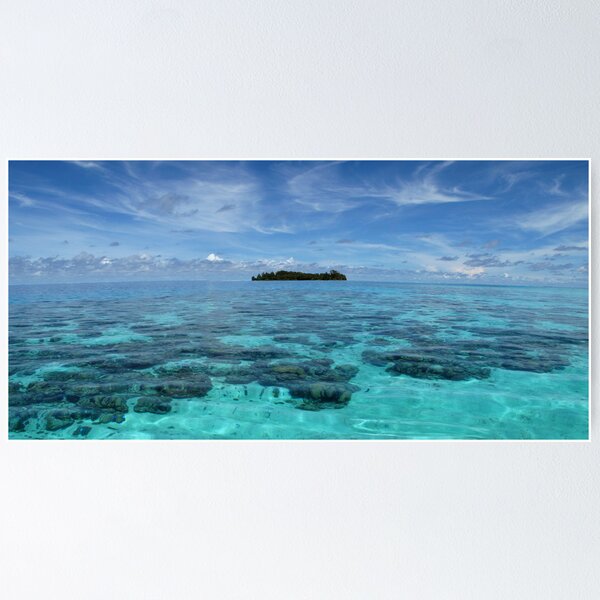 Item preview, Top of the Atoll I designed and sold by Coral Sea Foundation.