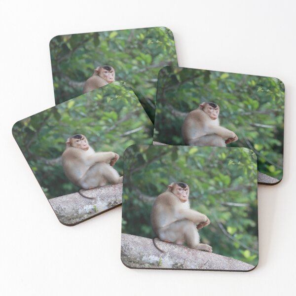 Item preview, Male Pig-Tailed Macaque designed and sold by mlorenz.