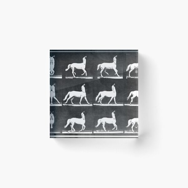 Item preview, A Study of the Movement of Centaurs (Canter). designed and sold by alexiares.
