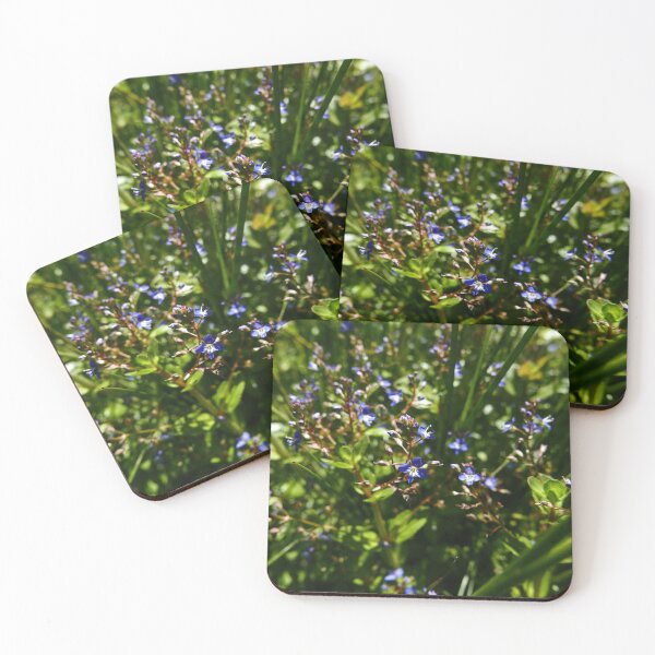 Item preview, Brooklime (Veronica beccabunga) designed and sold by IOMWildFlowers.