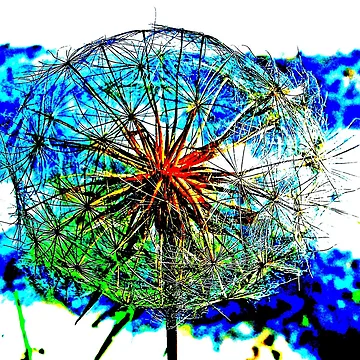 Artwork thumbnail, Lowenzahn by Jani Rojs