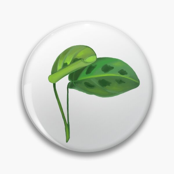 Item preview, Prayer Plants! designed and sold by MayberryD.