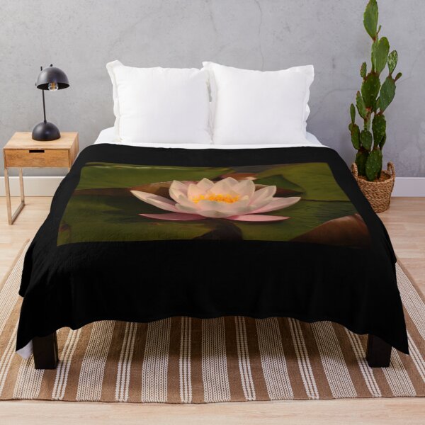 Item preview, Pink water lily - Hatchet pond designed and sold by photosforall.
