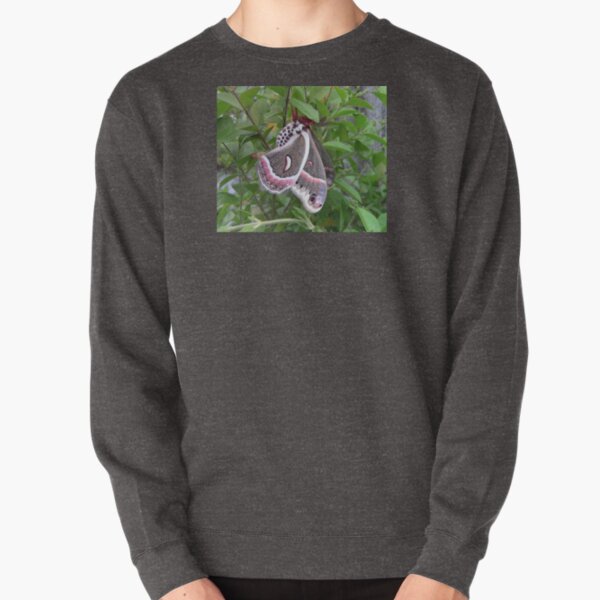 Cecropia Moth Pullover Sweatshirt