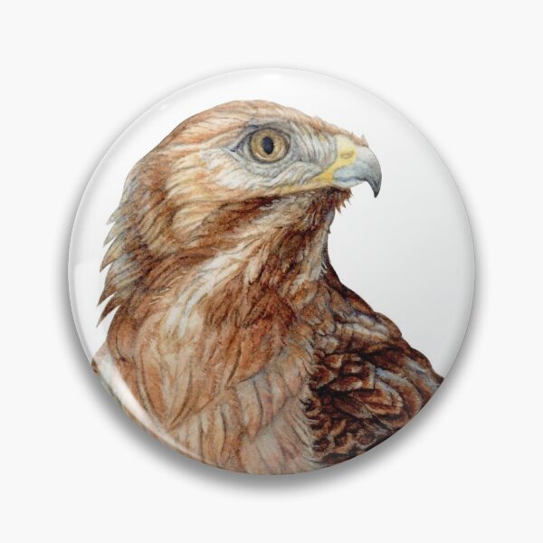 Item preview, Volleyball Hawk #1 - Red-tailed Hawk  designed and sold by R.A.  Faller.