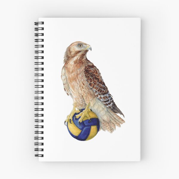 Artikelvorschau, Volleyball-Bussard Nr. 1 - Rotschwanzbussard entworfen und verkauft von R.A.  Faller.