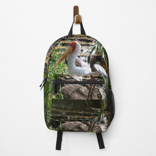 Item preview, Painted Stork bird ( Mycteria leucoceohala)	 designed and sold by Velvet Photos.