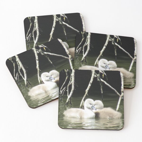 Item preview, Cute baby swans designed and sold by joshuarainbird.