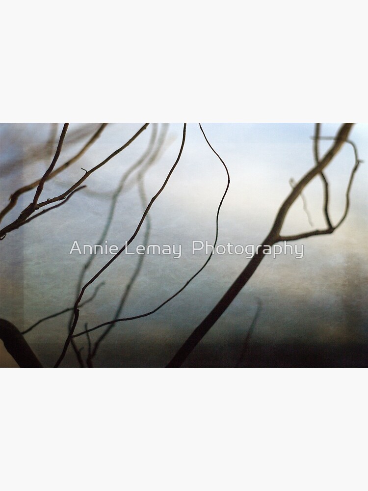 Twigs by ajlphotography