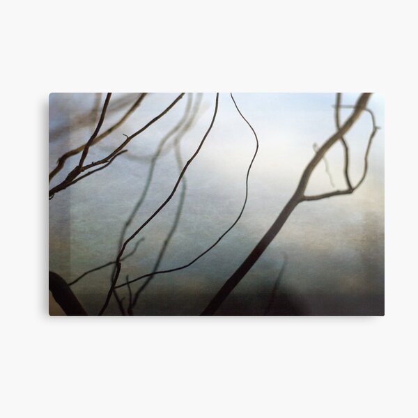 Twigs Metal Print