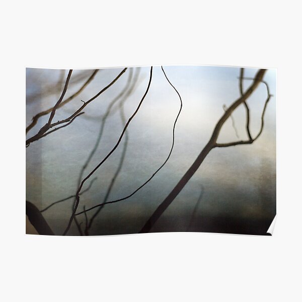 Twigs Poster