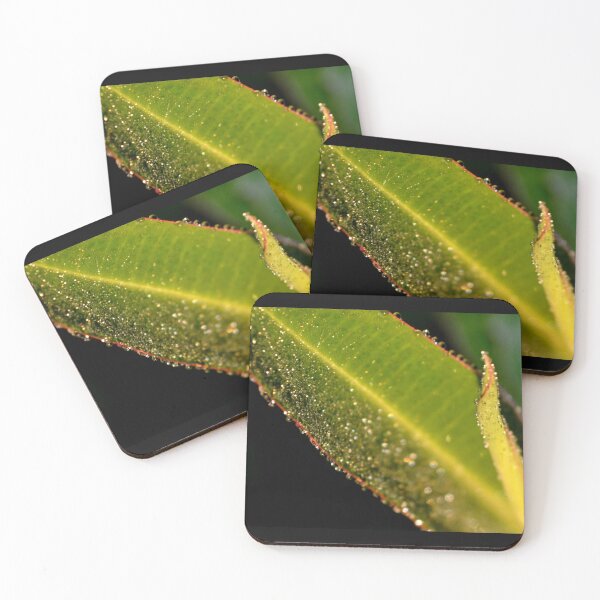 Item preview, Dew in the early morning sunshine designed and sold by photosforall.