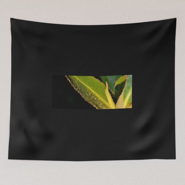 Item preview, Dew in the early morning sunshine designed and sold by photosforall.