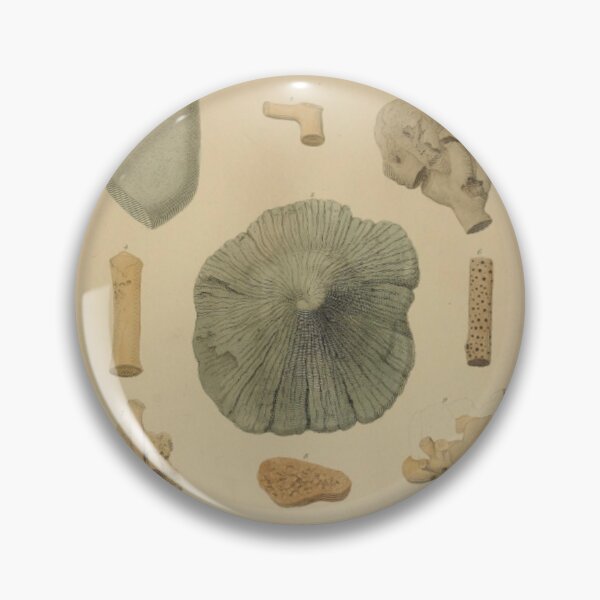 Item preview, Coral Fossils designed and sold by BlueSpecsStudio.