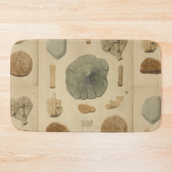 Item preview, Coral Fossils designed and sold by BlueSpecsStudio.