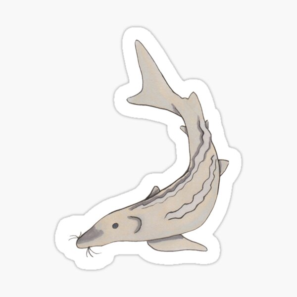 Sturgeon Sticker
